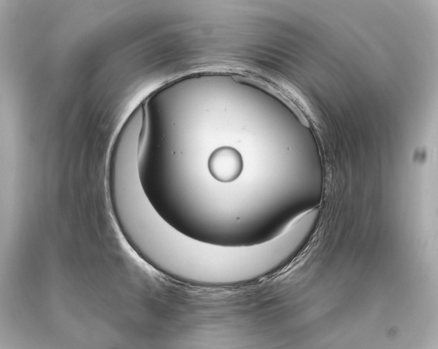 X0000093361095200711011202