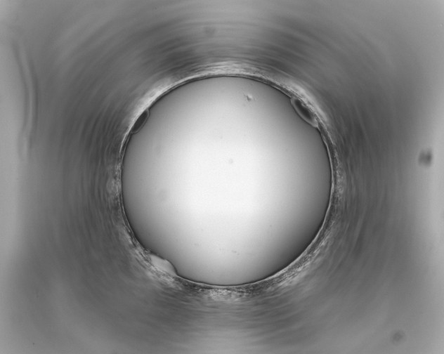 X0000093361097200711011202