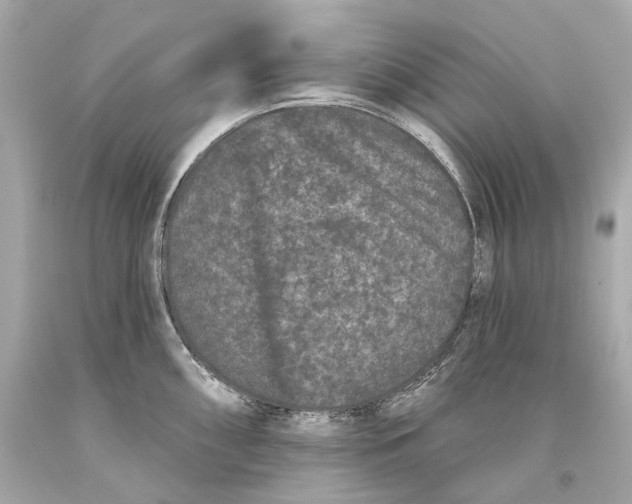 X0000093361098200711011202