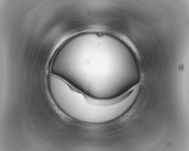 X0000093361099200711011202