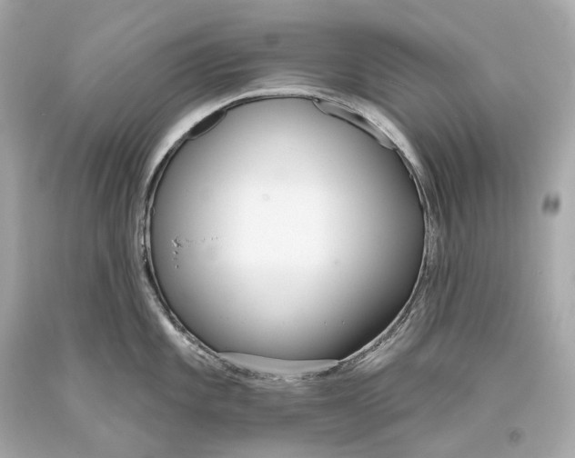 X0000093361101200711011202