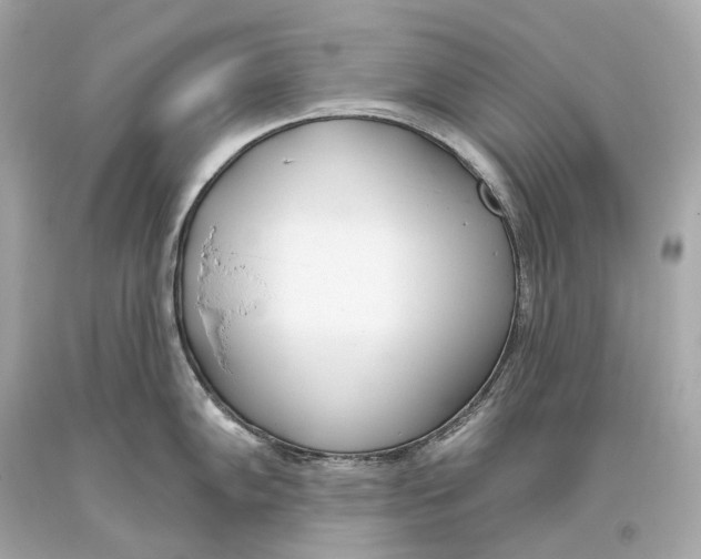 X0000093361102200711011202