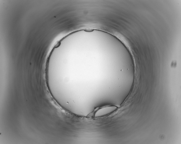 X0000093361104200711011202