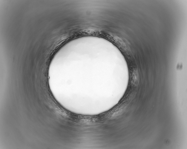 X0000093361105200711011201