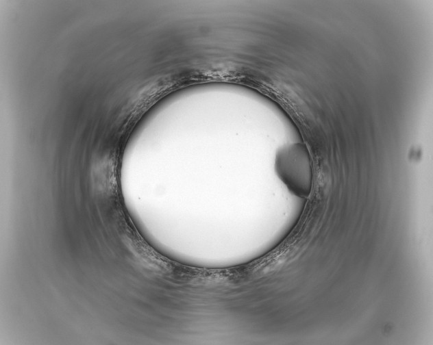 X0000093361106200711011201