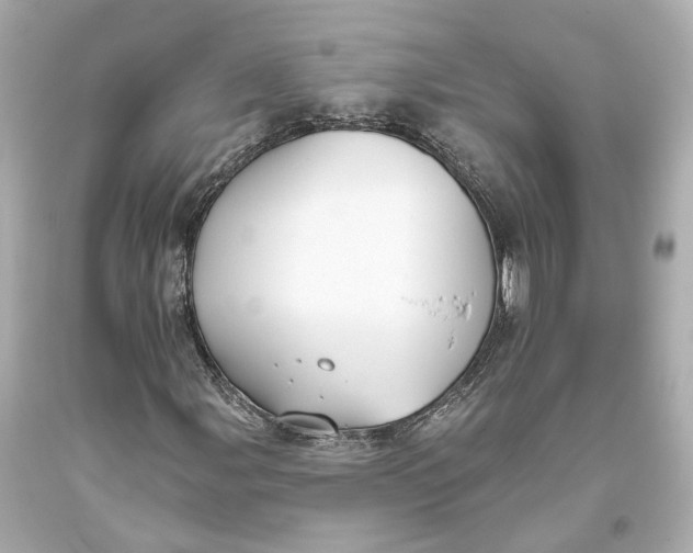 X0000093361107200711011201