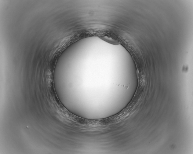 X0000093361108200711011201