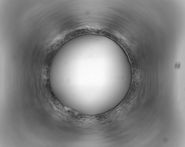 X0000093361110200711011201