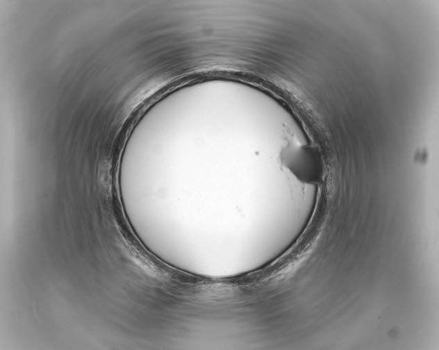 X0000093361113200711011201