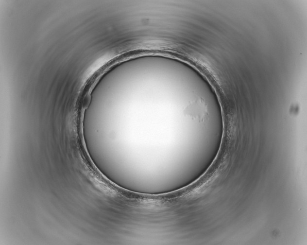 X0000093361114200711011201