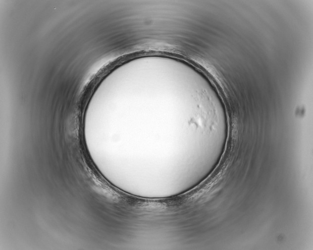 X0000093361115200711011201