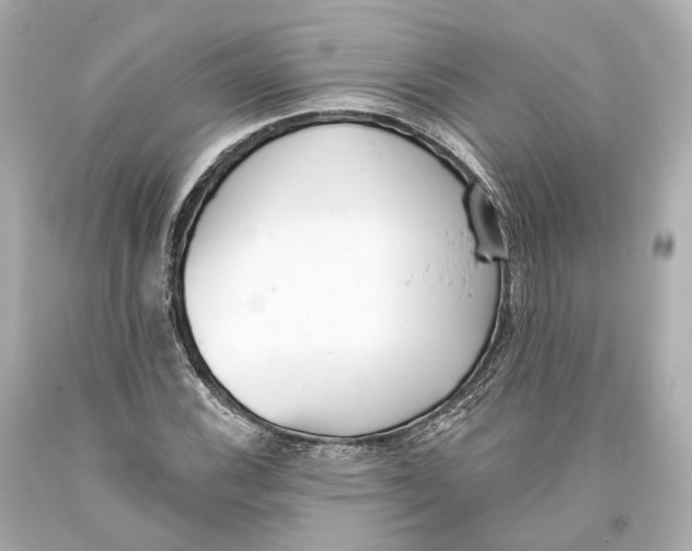 X0000093361116200711011201