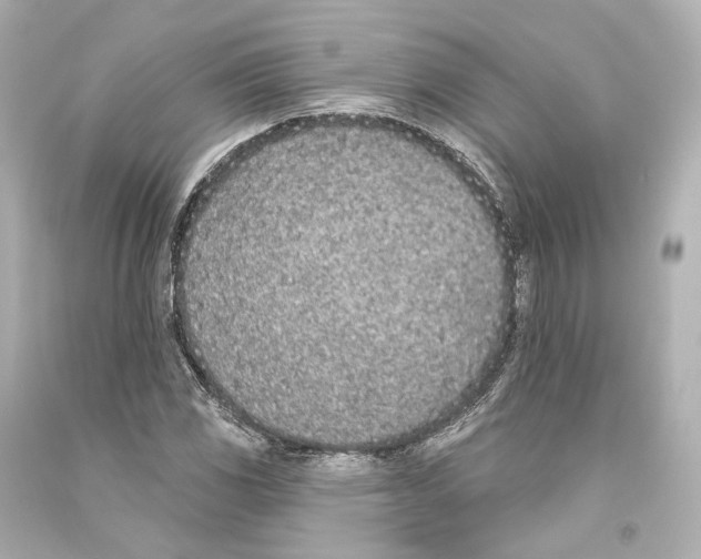 X0000093361117200711011201