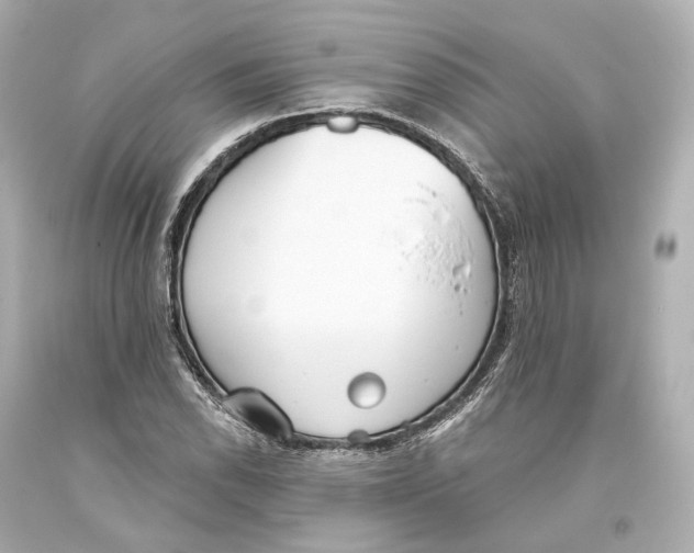 X0000093361118200711011201