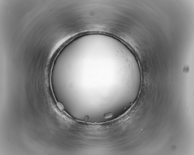 X0000093361120200711011201