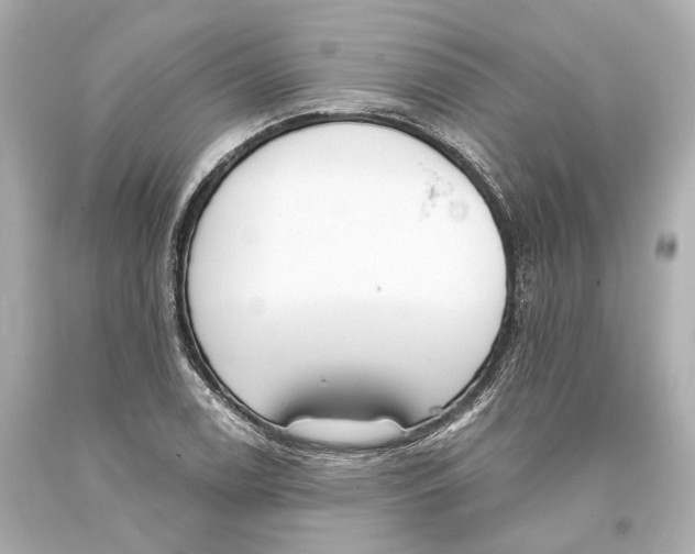 X0000093361122200711011202