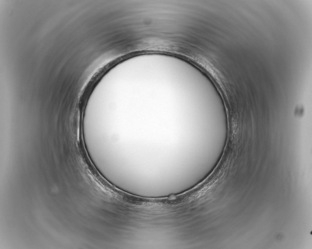 X0000093361123200711011202