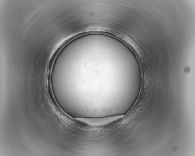 X0000093361124200711011202