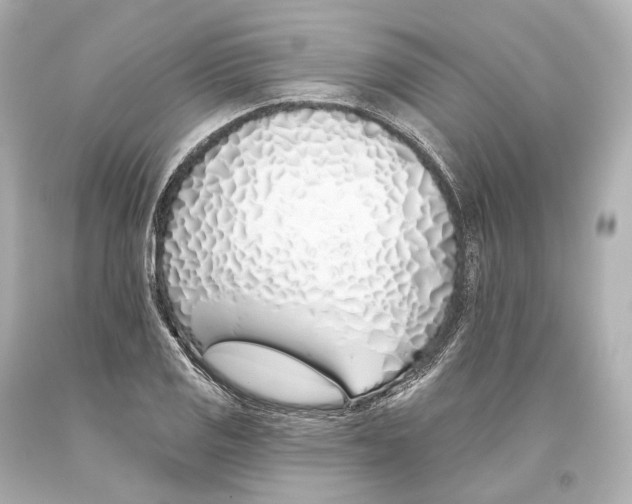 X0000093361125200711011202