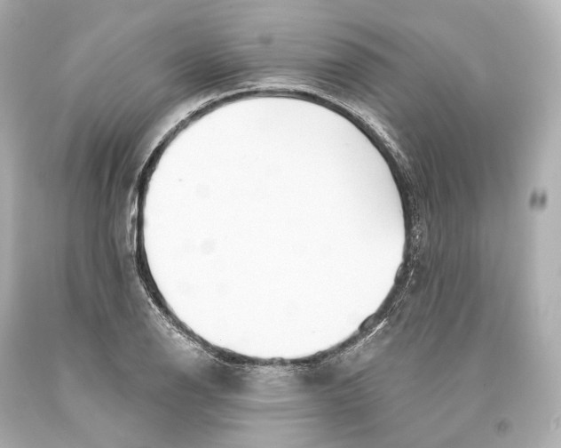 X0000093361126200711011202