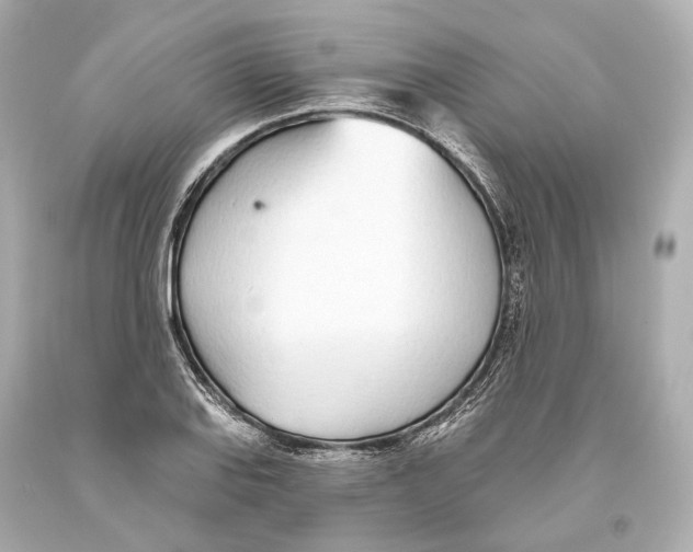 X0000093361127200711011202