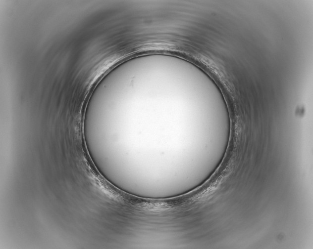 X0000093361129200711011202