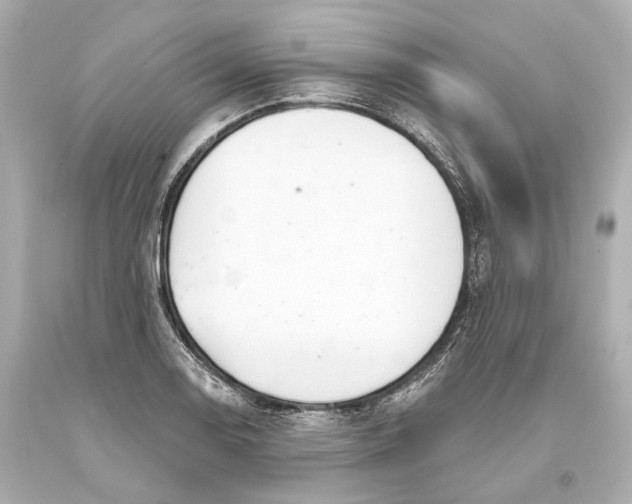 X0000093361130200711011202