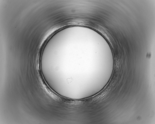 X0000093361131200711011202