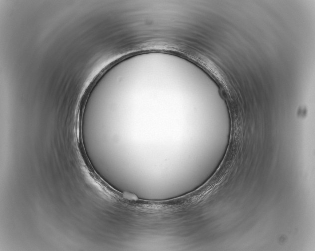 X0000093361132200711011202