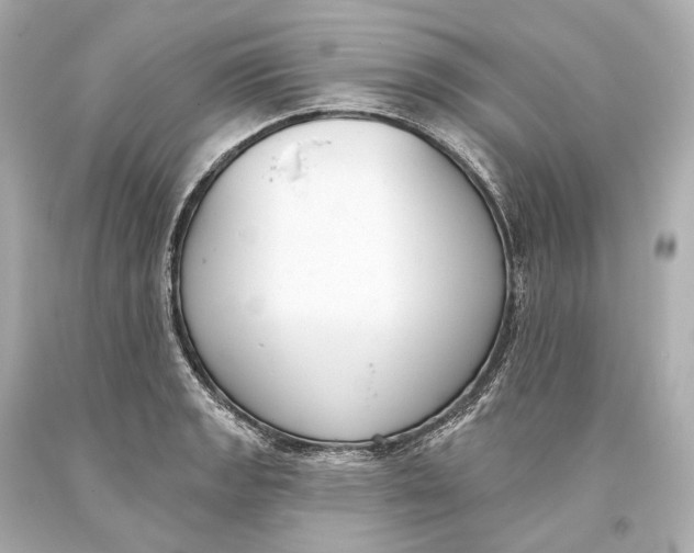 X0000093361133200711011202