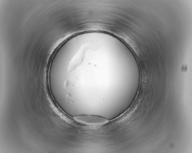 X0000093361134200711011202