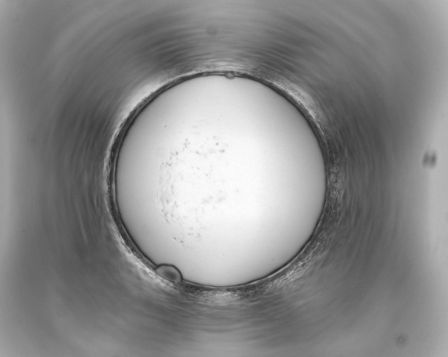 X0000093361135200711011202