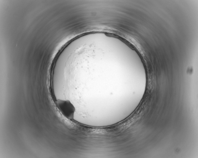 X0000093361136200711011202