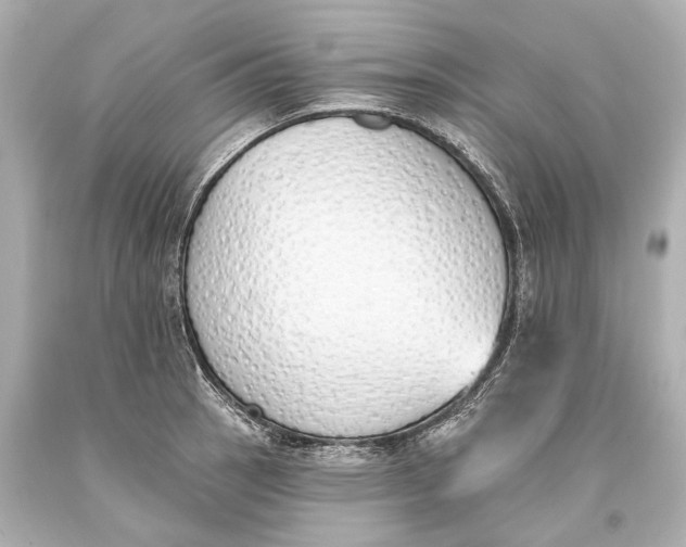 X0000093361137200711011202