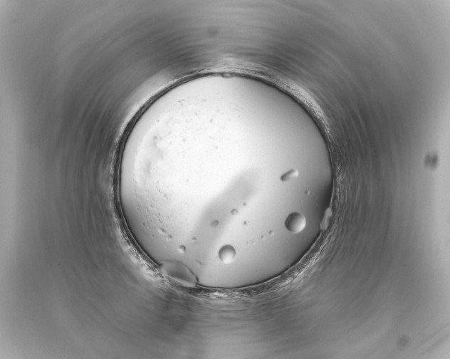 X0000093361138200711011202