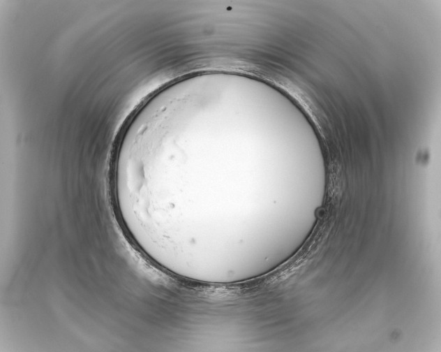 X0000093361139200711011202