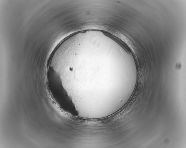 X0000093361140200711011202