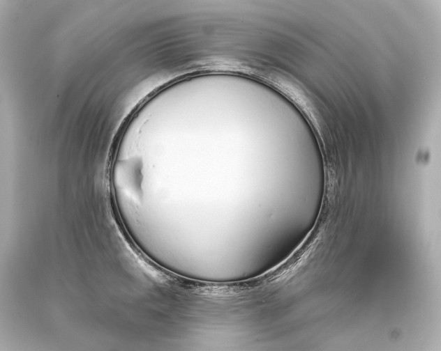 X0000093361141200711011202