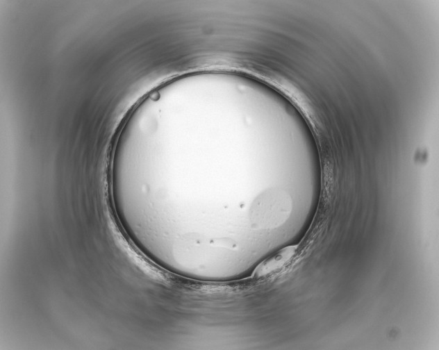 X0000093361142200711011202