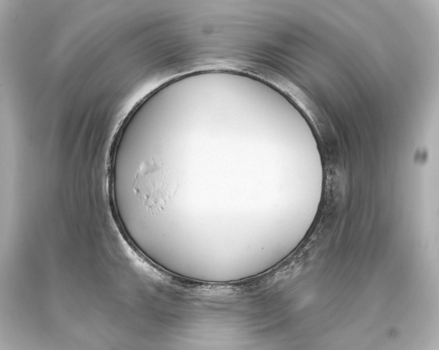 X0000093361143200711011202