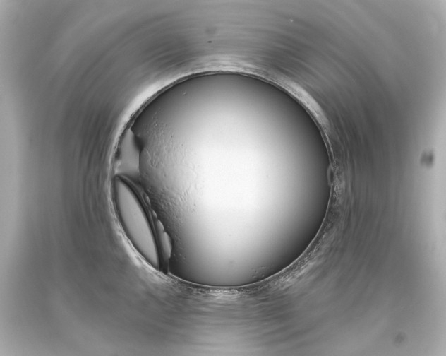 X0000093361144200711011202