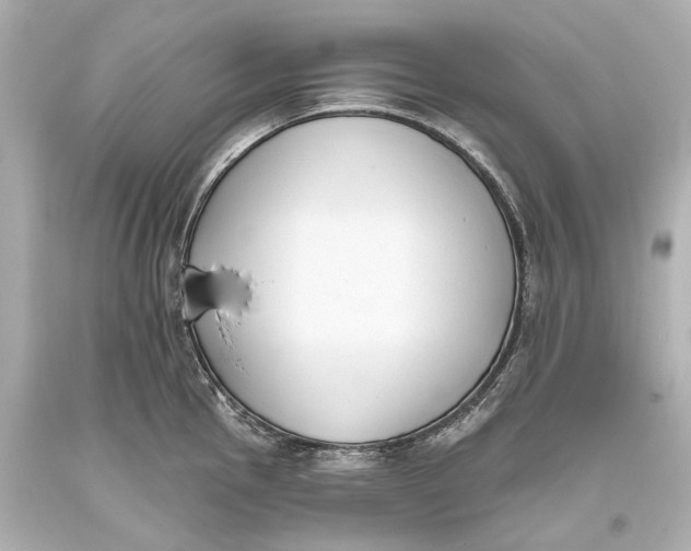 X0000093361145200711011202