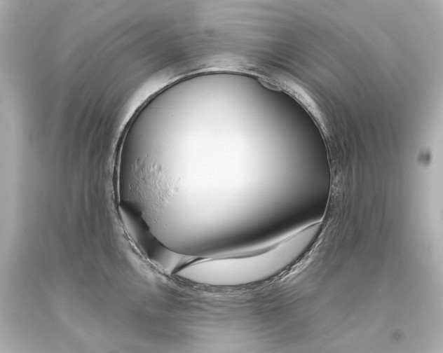 X0000093361146200711011202