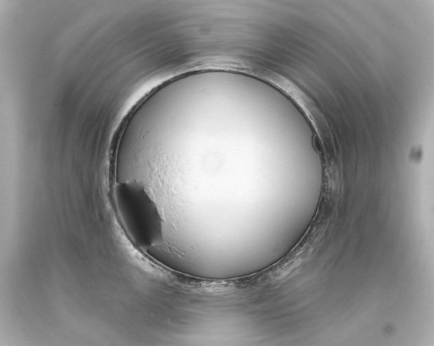 X0000093361147200711011202