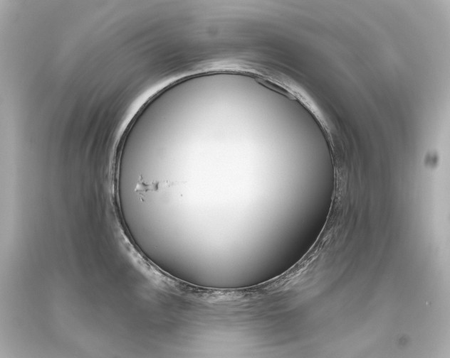 X0000093361148200711011202