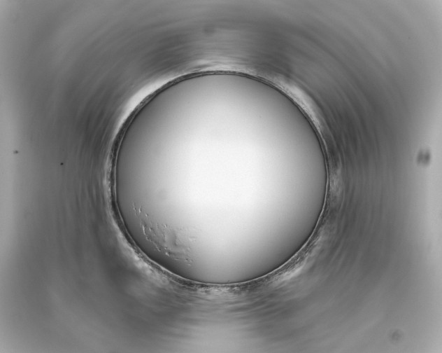 X0000093361149200711011202