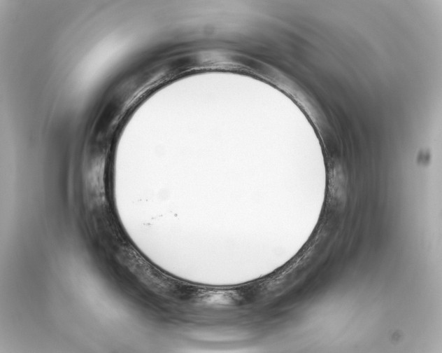 X0000093361150200711011202