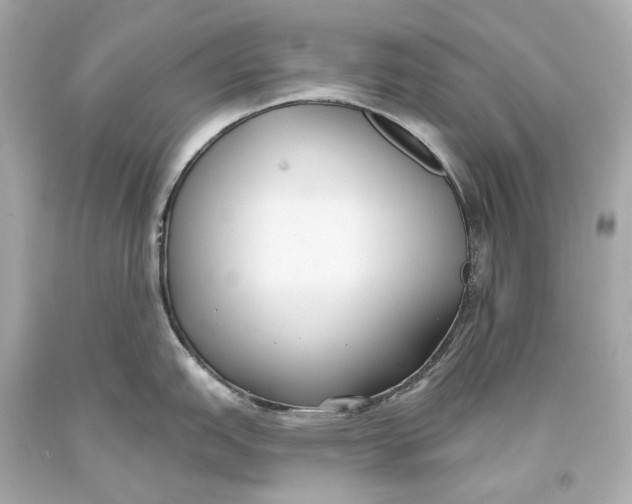 X0000093361151200711011202