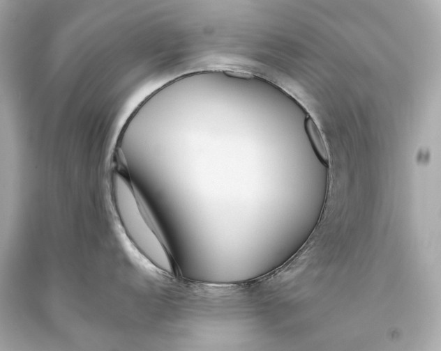 X0000093361152200711011202