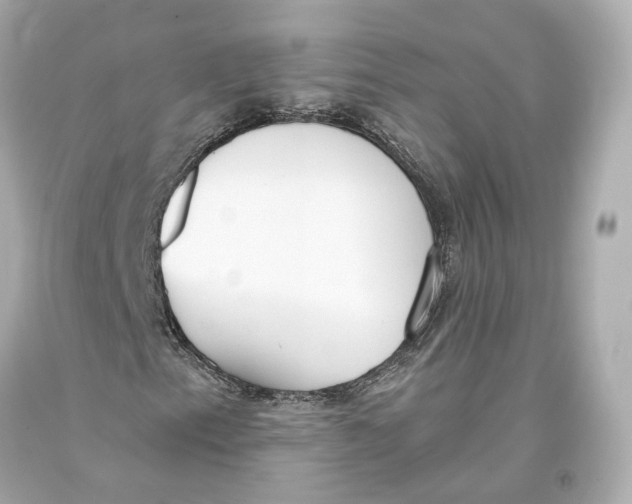 X0000093361153200711011201